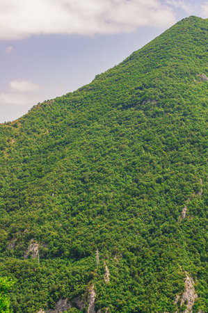 A forested, low mountain in summerの写真素材