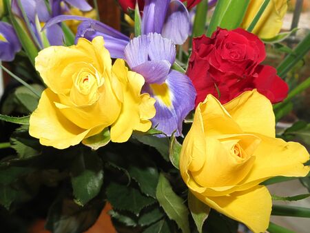   Bunch of fresh floweres                             の写真素材