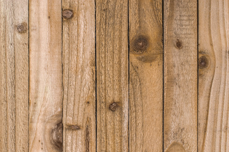 Rustic textured wooden strips showing the knots and grain of the wood for use as a backgroundの写真素材