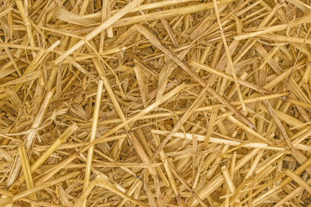 Straw Background texture close upの写真素材
