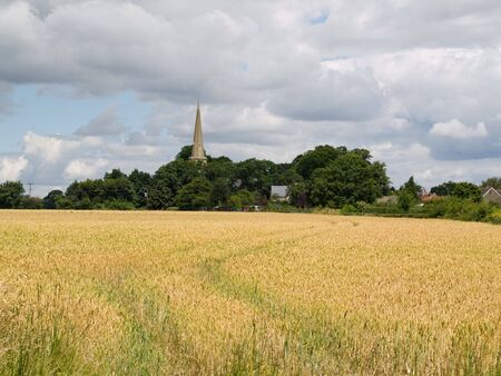 A view across the countryside with fields and treesの写真素材