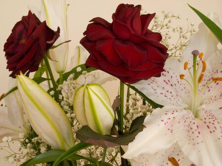 Bouquet of Red roses and white lillies の写真素材