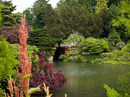 Lake surrounded by trees and plants reflected in waterの写真素材