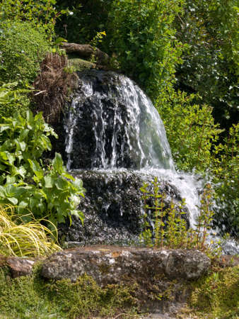 Small waterfall flowing over rocks surrounded by foliageの写真素材