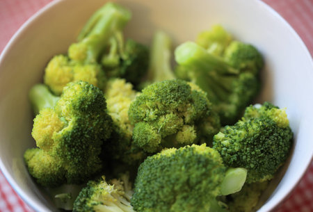 broccoli ready to eatの写真素材