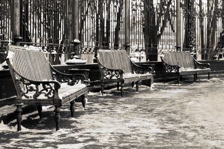 Black and white image of three benches in a parkの写真素材