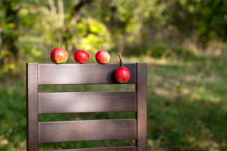 The row of ripe red apples on the back of wooden chair の写真素材