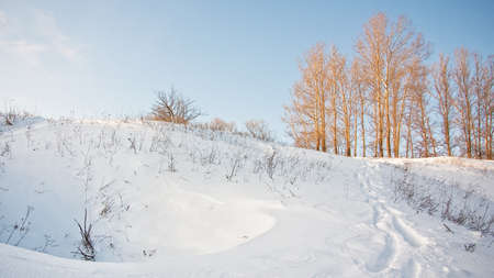 Winter landscape with snow and treesの写真素材