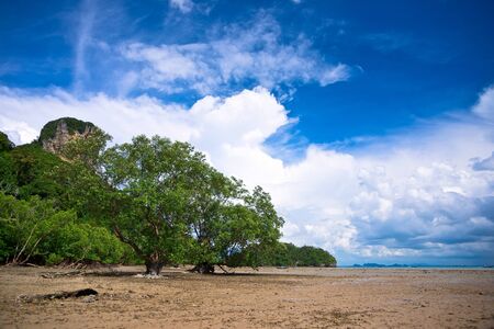 Low tide on the west Railay beach, Thailandの写真素材