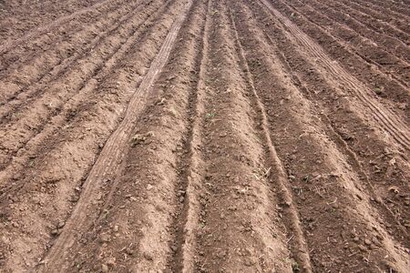 Agricultural scenery: strip of ploughed earthの写真素材