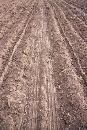 Agricultural scenery: strip of ploughed earthの写真素材
