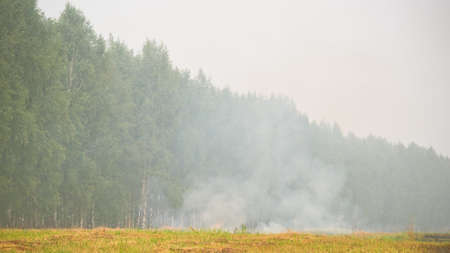 Smoke of burning grass during the summer wildfires の写真素材