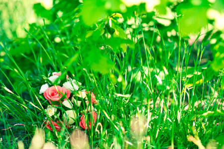 Wedding flowers in the grassの写真素材