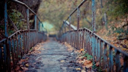 Old rusty ladder across the ravineの写真素材