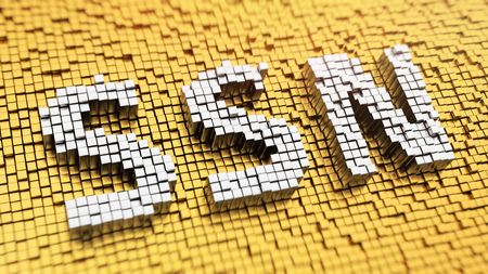 Pixelated acronym 'SSN' made from cubes, mosaic patternの写真素材
