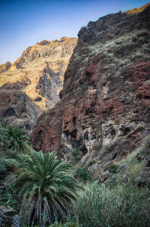 View from Masca gorge, Tenerife, Canary Islandsの写真素材