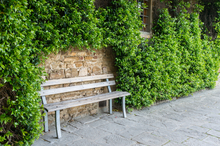 Wooden bench in front of an ivy-covered wall of a buildingの写真素材