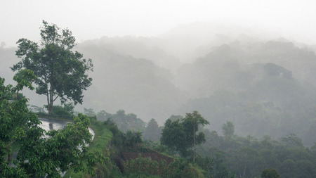 The turn of wet asphalt road above the ravine in the fog during the rain, Bali, Indonesia