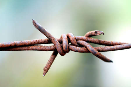 rusty barb wireの写真素材