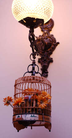 bird cage with ornamental flowers hanging from wall lightの写真素材
