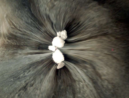 pattern formed by dry ice on waterの写真素材