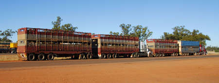 Road train in Australia crossing a outback country road with reddish or dusty scene 