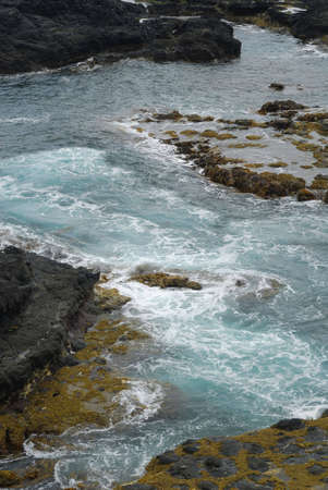 rocky sea shore with black rock and sea weedsの写真素材