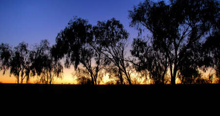 day break in Australia outbackの写真素材