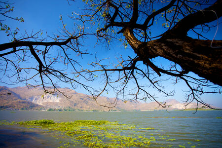 Landscapeの写真素材