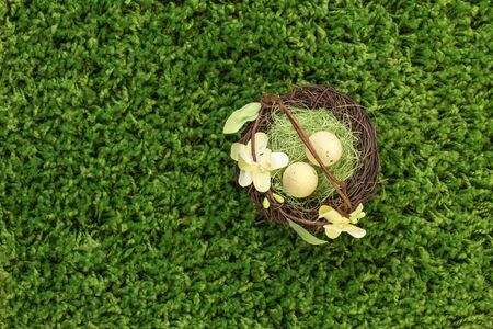 Easter spring eggs on green grassの写真素材