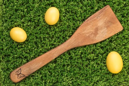 Easter spring eggs on green grass on wooden spoon