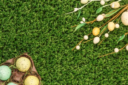 Easter spring eggs on green grass with sticksの写真素材
