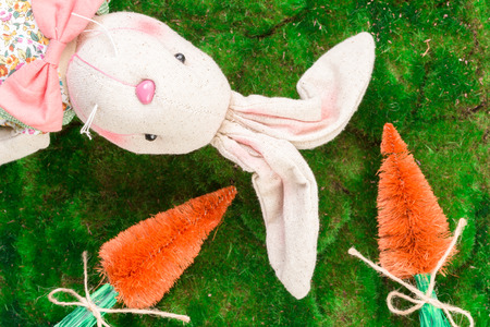 Easter spring bunny on green grass moss background with carrotsの写真素材