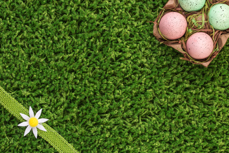 Easter spring eggs on green grass with flowers daisiesの写真素材