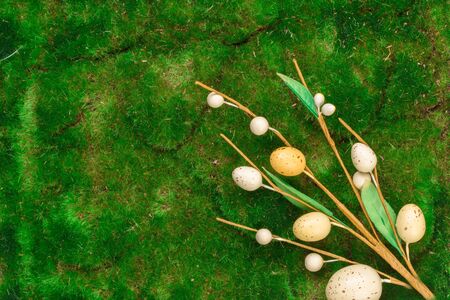 Easter spring eggs on green moss with sticksの写真素材