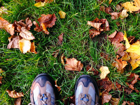 shoes standing next to autumn leaves on still green grass, selfie view