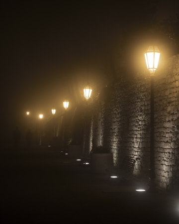 Evening walk in the fog の写真素材