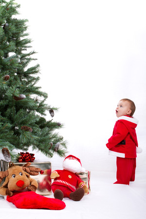 Fascinated Santa Baby boy standing next to Christmas tree. Studio shoot on white .の写真素材