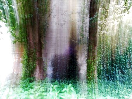 Unreliable photography of two trees against a concrete wall.の写真素材