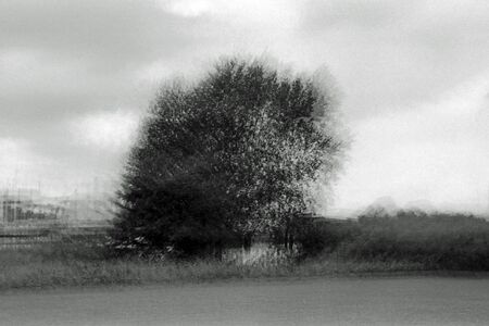 Blurred black and white analogue exposure of trees in a park.の写真素材