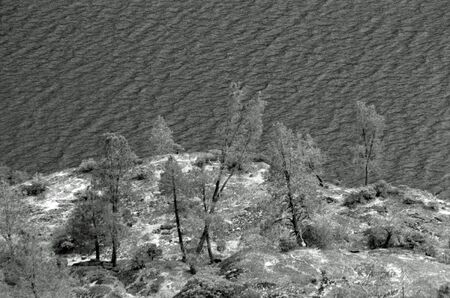 Analog black and white photography of a beautiful landscape.の写真素材