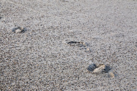 marks of feet in the sand. blurred backgroundの写真素材