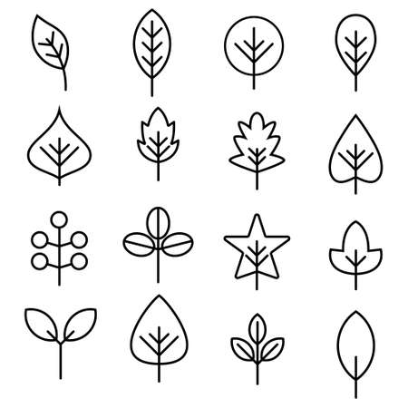Leaf vector design line icon.のイラスト素材