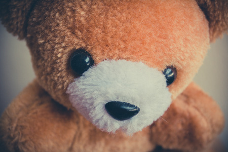 Brown bear doll vintage.の写真素材