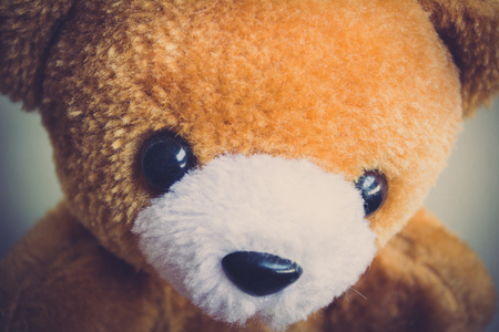 Brown bear doll vintage.の写真素材