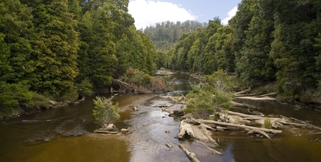 A wide, remote river with lush jungle either side.の写真素材
