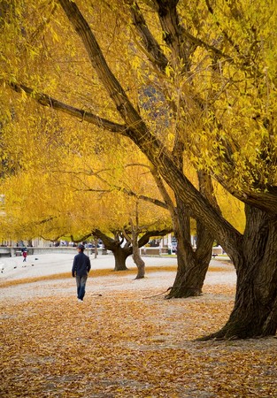Man walks underneath falling autumn leaves