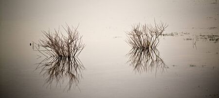 Reflection in a lake. の写真素材