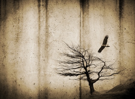 Grunge style textures with stains and tree and birdの写真素材