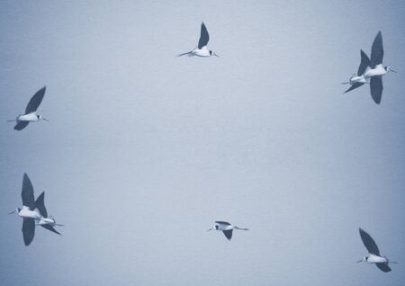 Birds take to flight on textured cardの写真素材